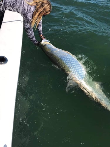 Boca Grande Pass Legendary Tarpon In Boca Grande