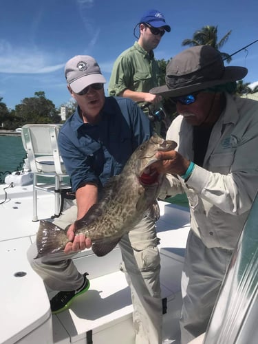Nearshore Trip with Captain Phil in Naples
