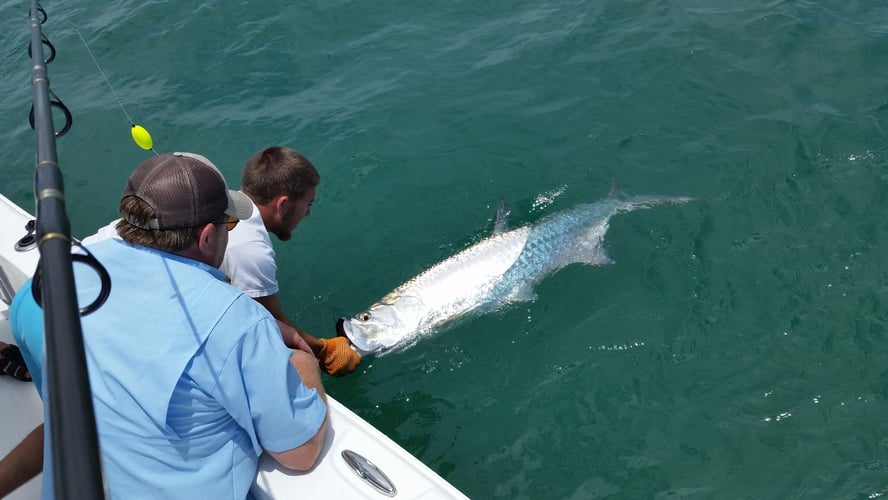 Boca Grande Pass Legendary Tarpon In Boca Grande