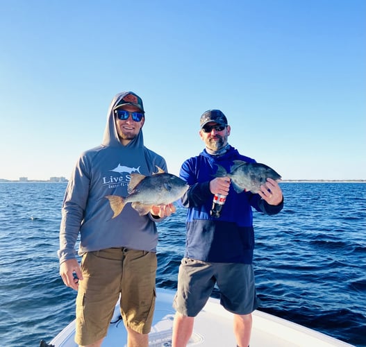 Destin Coastal - 26' Blue Wave In Niceville