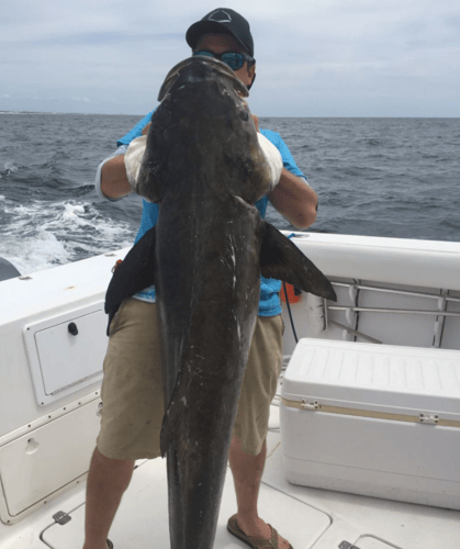 Destin Inshore Adventure in Niceville