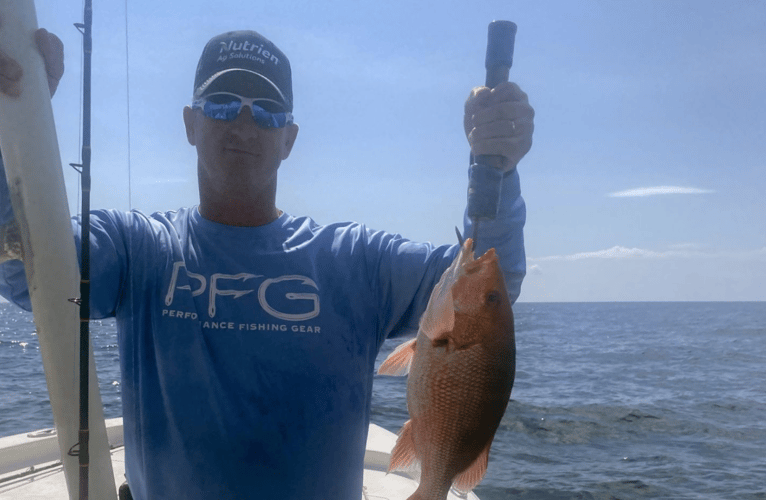 Destin Inshore Adventure in Niceville