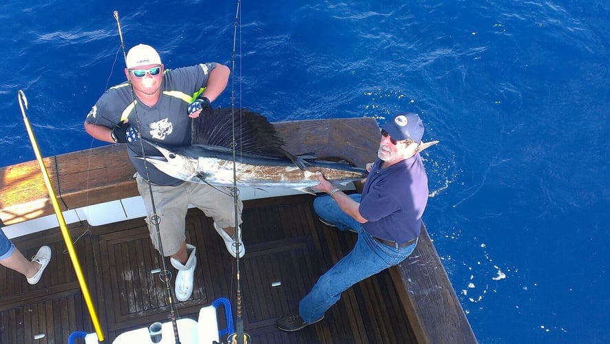 Offshore Islamorada Trip In Islamorada