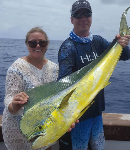 Offshore Islamorada Trip In Islamorada