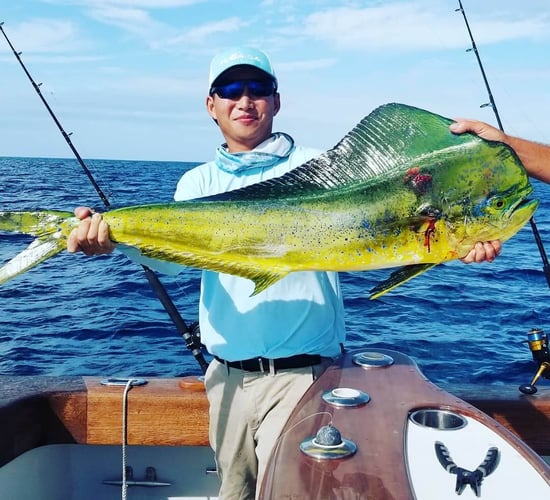 Offshore Islamorada Trip In Islamorada