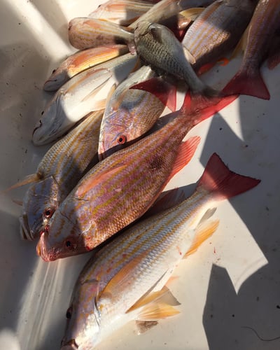 3-Day Venice Backcountry Trip in Boothville-Venice