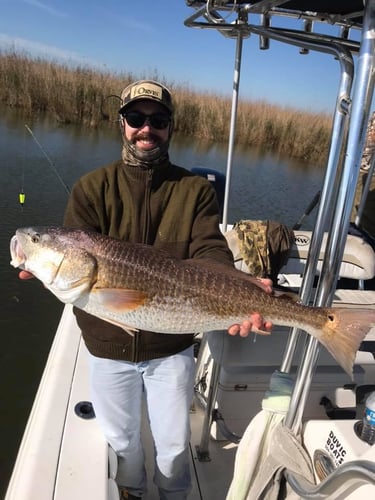 3-Day Venice Backcountry Trip in Boothville-Venice