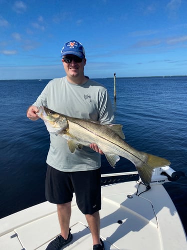 Inshore Redfish Roundup In Matlacha