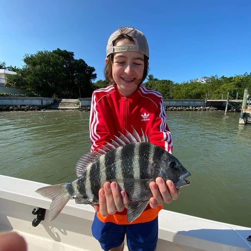 Pine Island Fishing And Shelling In Matlacha