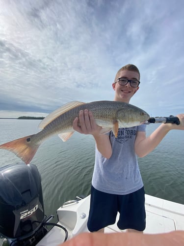 Inshore Redfish Roundup In Matlacha