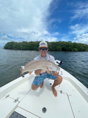 Inshore Redfish Roundup In Matlacha