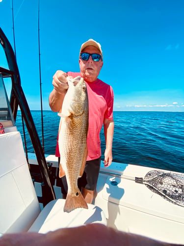 Inshore Redfish Roundup In Matlacha