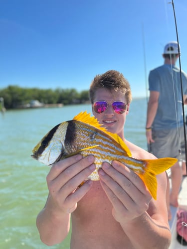 Inshore Redfish Roundup In Matlacha