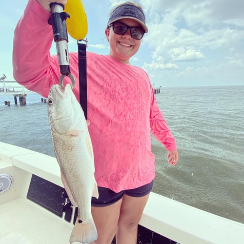 Pine Island Fishing And Shelling In Matlacha