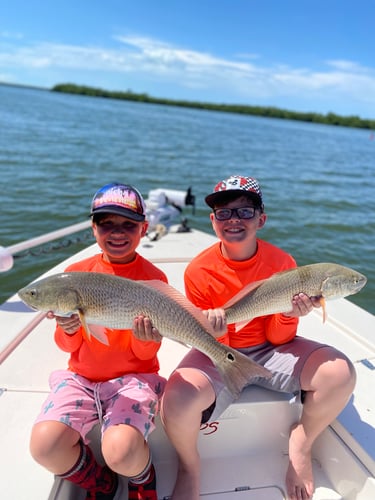 Inshore Redfish Roundup In Matlacha