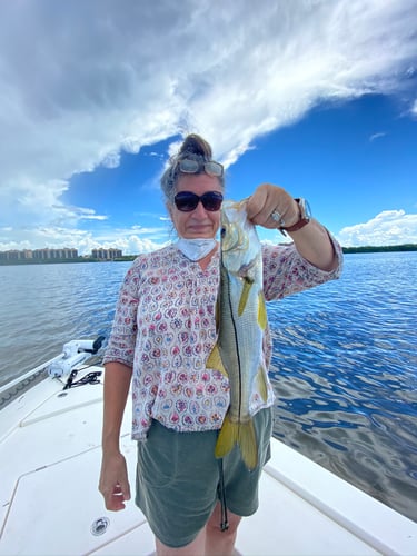 Inshore Redfish Roundup In Matlacha