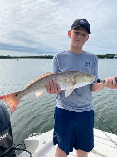 Inshore Redfish Roundup In Matlacha