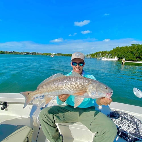 Inshore Redfish Roundup In Matlacha