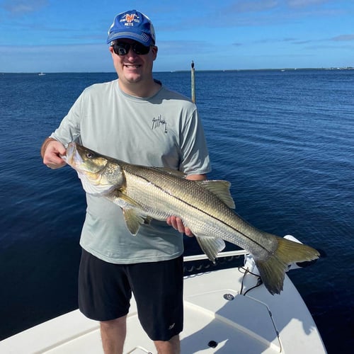 Inshore Redfish Roundup In Matlacha