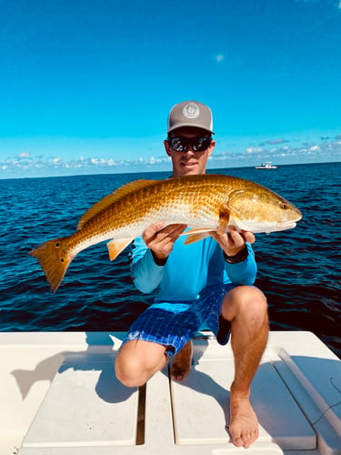 Inshore Redfish Roundup In Matlacha