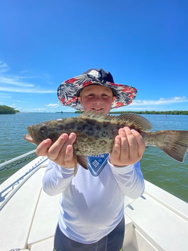 Inshore Redfish Roundup In Matlacha