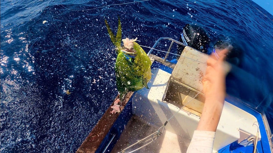 "Old Man And The Sea" Handlining In Gustavia