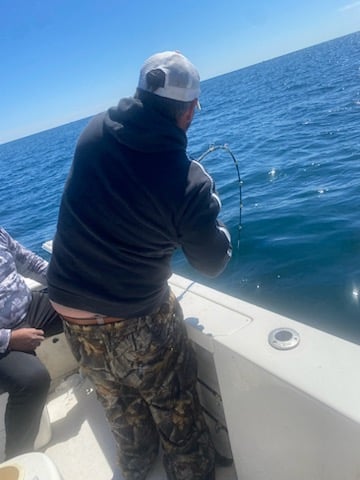Destin Rod-Bender in Shalimar