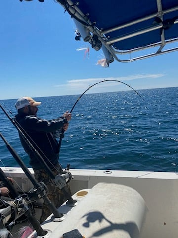 Destin Rod-Bender in Shalimar
