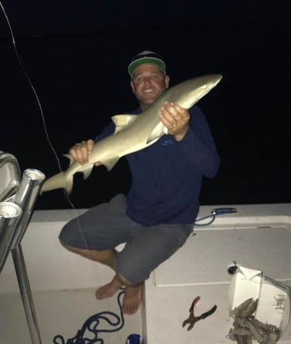 Key Largo Shark Special In Key Largo