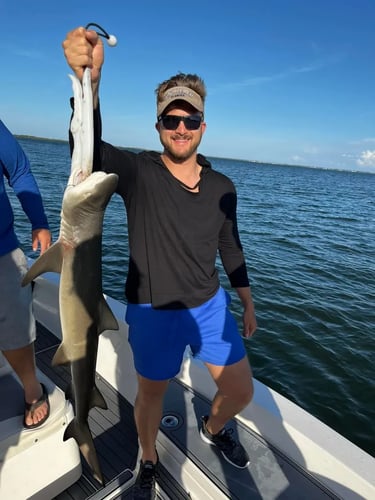 Key Largo Shark Special in Key Largo