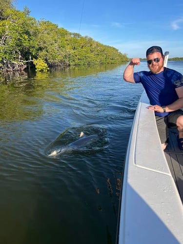 Key Largo Shark Special in Key Largo