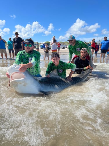 Afternoon Surf Fishing For Sharks In Corpus Christi