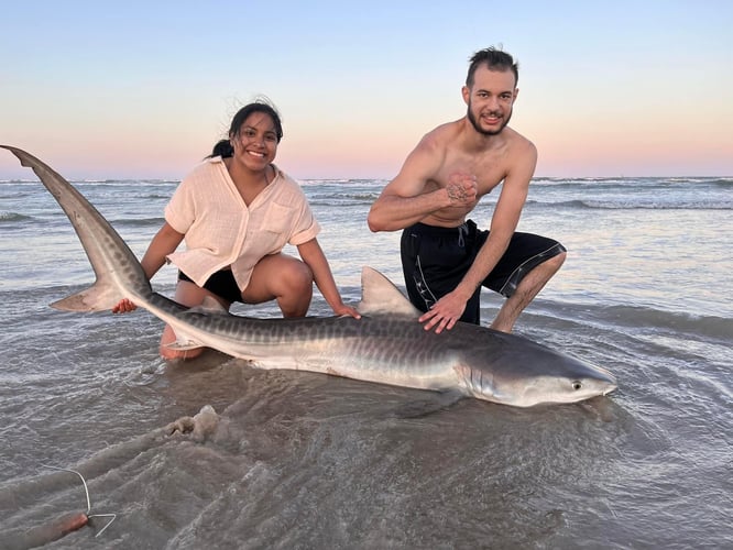 Evening Surf Fishing For Sharks In Corpus Christi