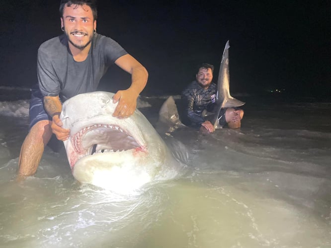 8 Hour Shark Fishing Adventure (recommended) In Corpus Christi