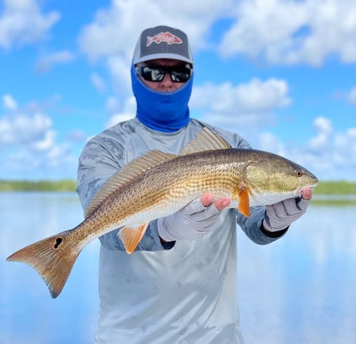 New Orleans Shallow Water Slam In New Orleans