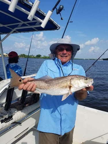 Back Bay Trip – 27’ Carolina In Fort Myers Beach