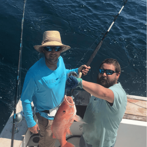 Spring Nearshore Splash In Destin