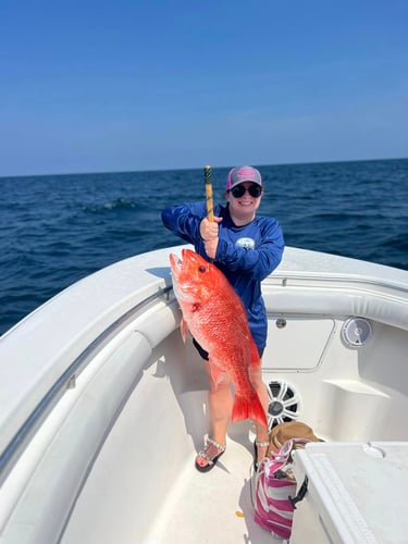 State Water Red Snapper Trip In Gulf Shores