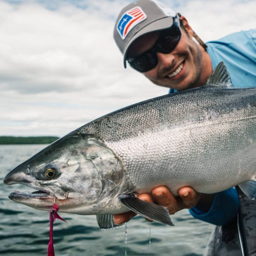 Best Of Bristol Bay Package In King Salmon