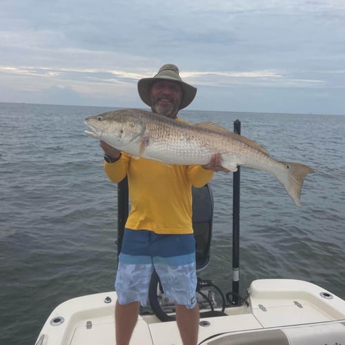 Inshore Bay Trip - 23' Aqua Star In Cape Coral