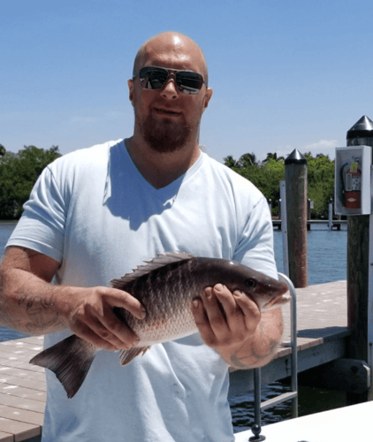 Nearshore Fishing Trip In Cape Coral