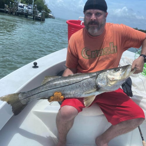 Inshore Bay Trip - 23' Aqua Star In Cape Coral