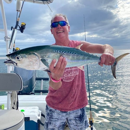 Nearshore Fishing Trip In Cape Coral