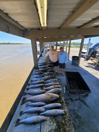 Venice Inshore Hook-Up In Boothville-Venice