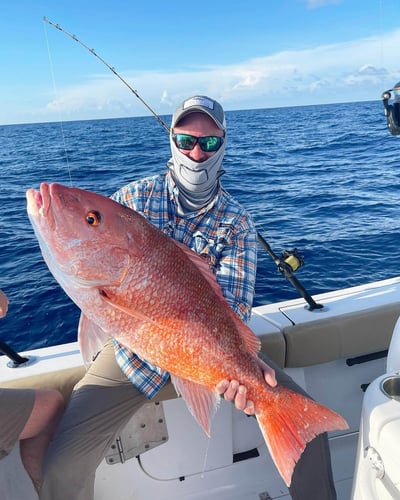 Big Fish In Fort Myers In Cape Coral