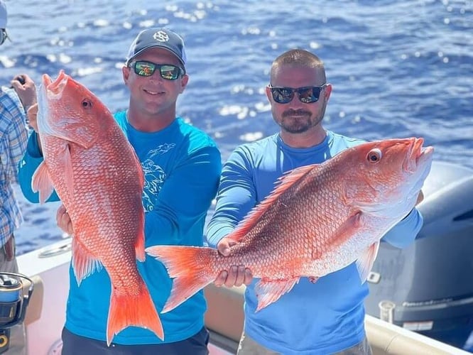 Big Fish In Fort Myers In Cape Coral