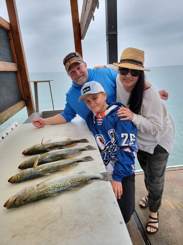 Wading the Laguna Madre in South Padre Island