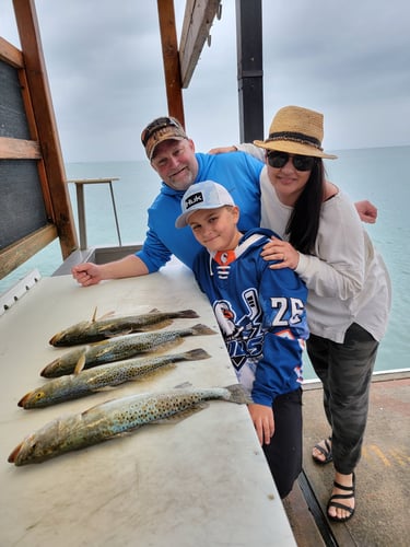 Wading The Laguna Madre In South Padre Island