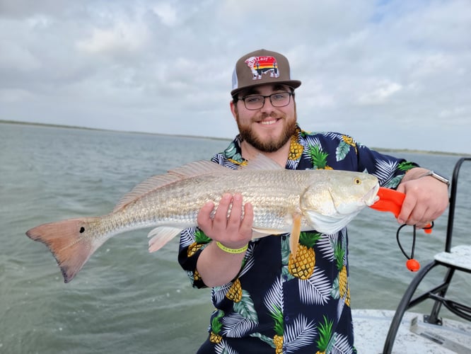 Wading the Laguna Madre in South Padre Island