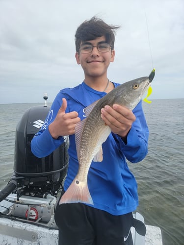 Wading the Laguna Madre in South Padre Island